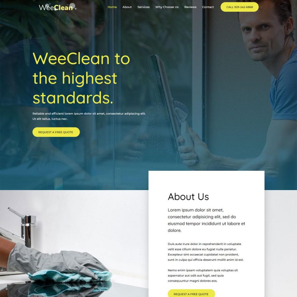 Cleaning Agency