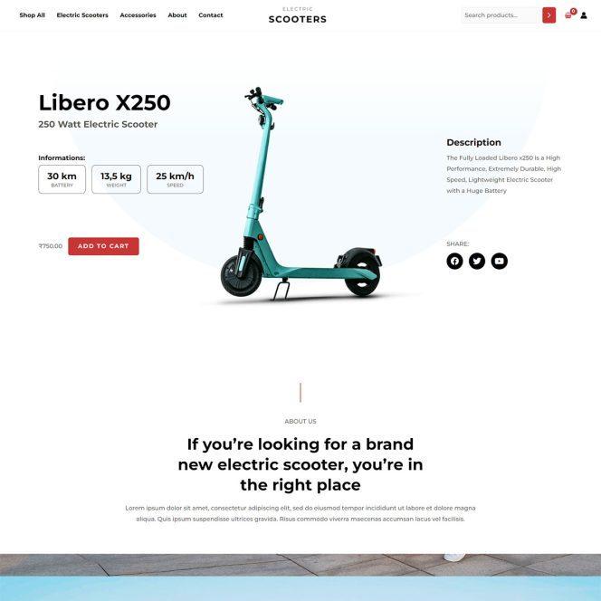 Electric Scooter