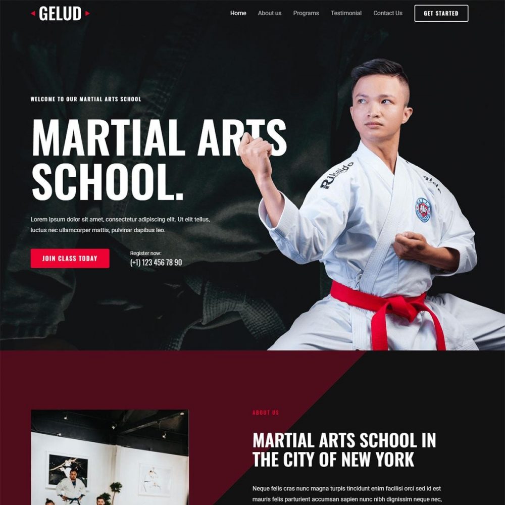 Martial Arts School