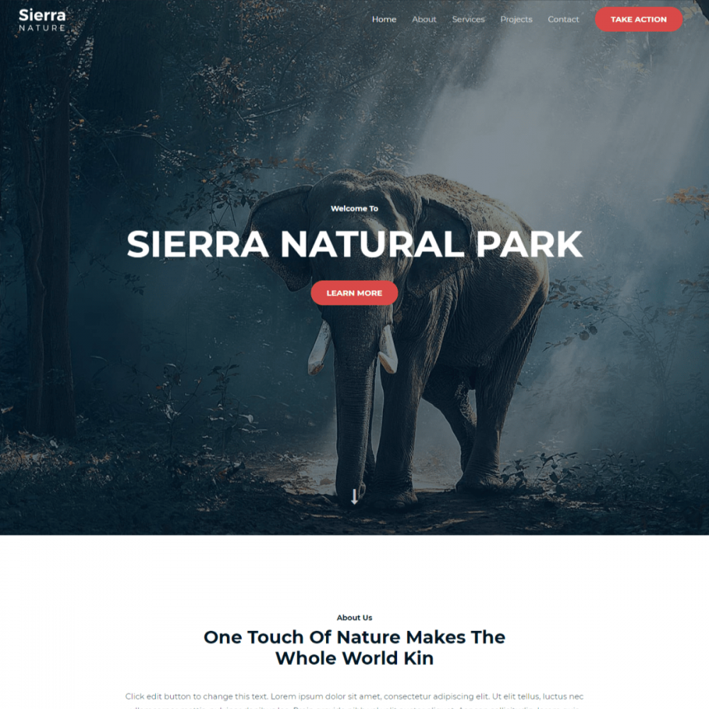 Sierra Nature